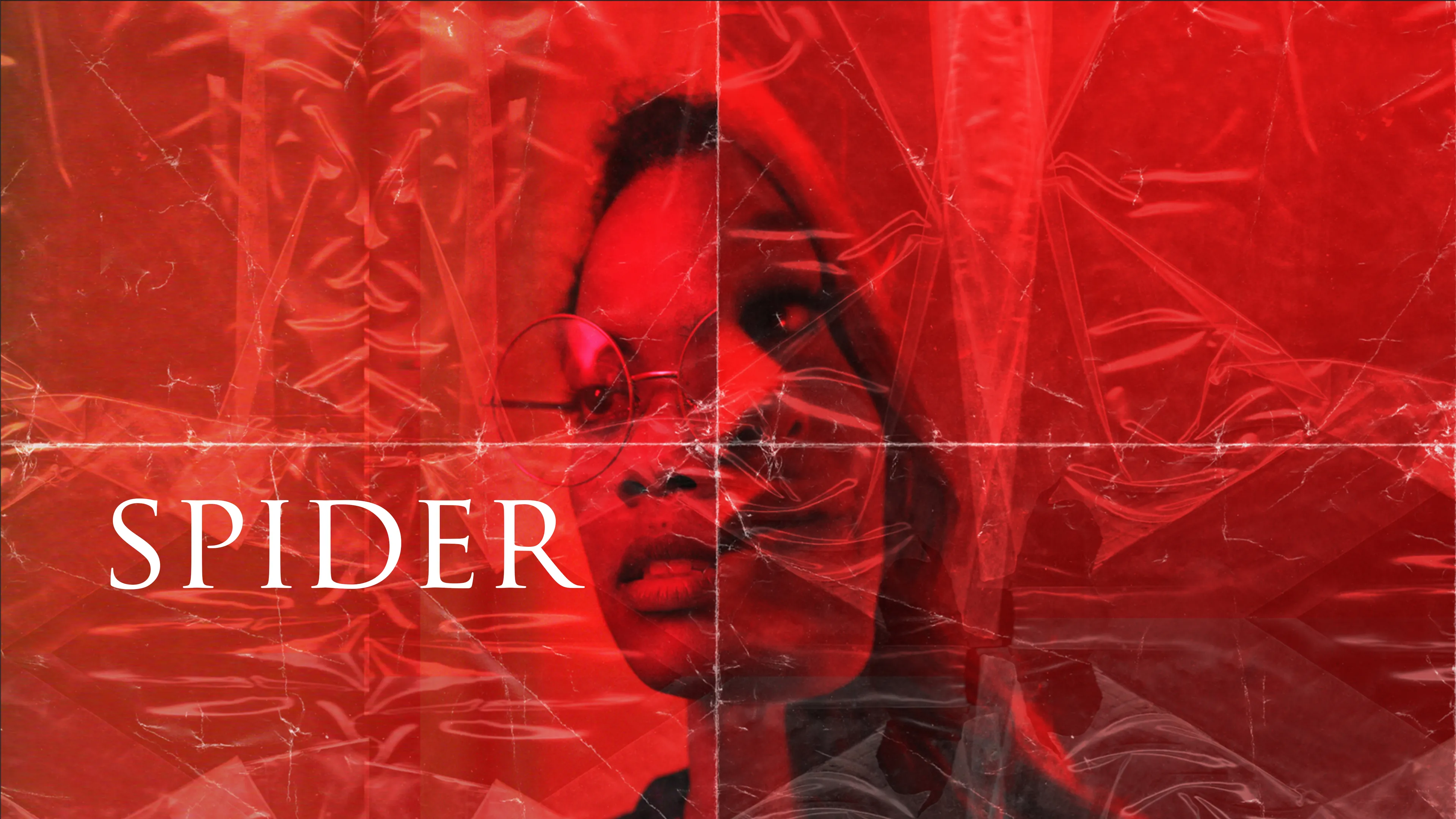 Spider poster